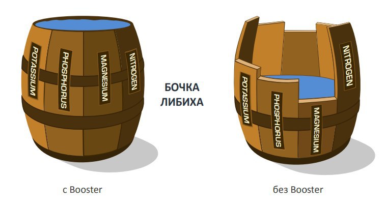 На рисунке изображена бочка либиха иллюстрирующая зависимость урожая от лимитирующего фактора