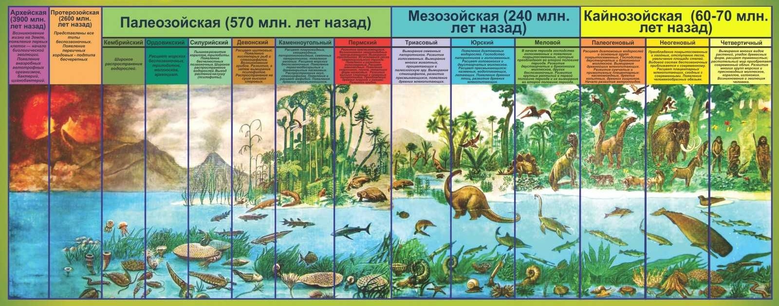 Геологические эры и хроника Земли – Telegraph