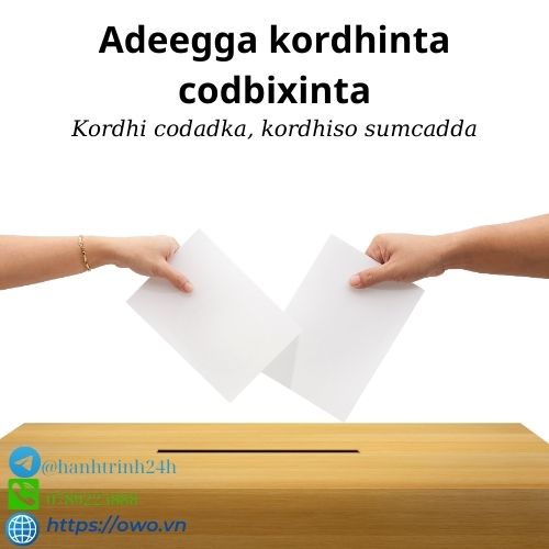 Adeegga kordhinta codbixinta: Adeegga kordhinta codbixinta wuxuu xaqiijinayaa in codkaaga la maqlo, isagoo kordhinaya saameyntaada.