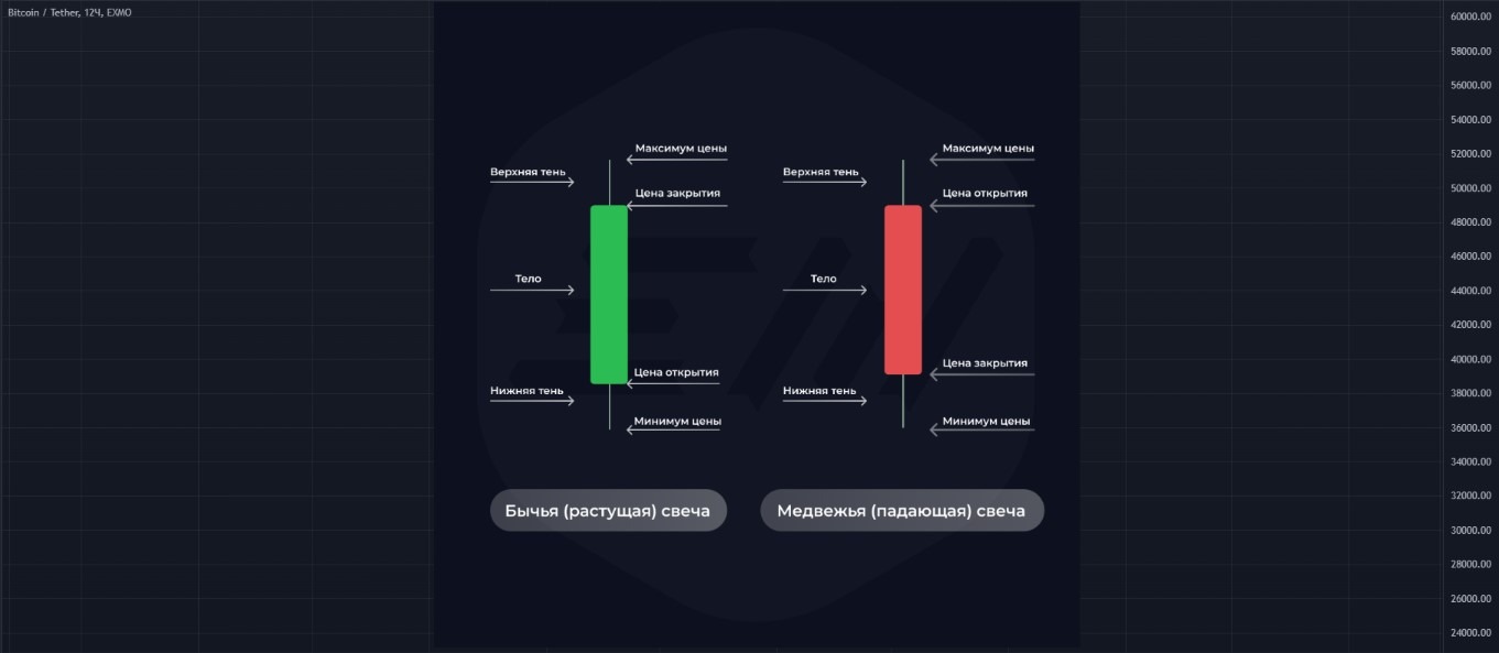 Свечи и Свечной Анализ ЧАСТЬ 1 – Telegraph
