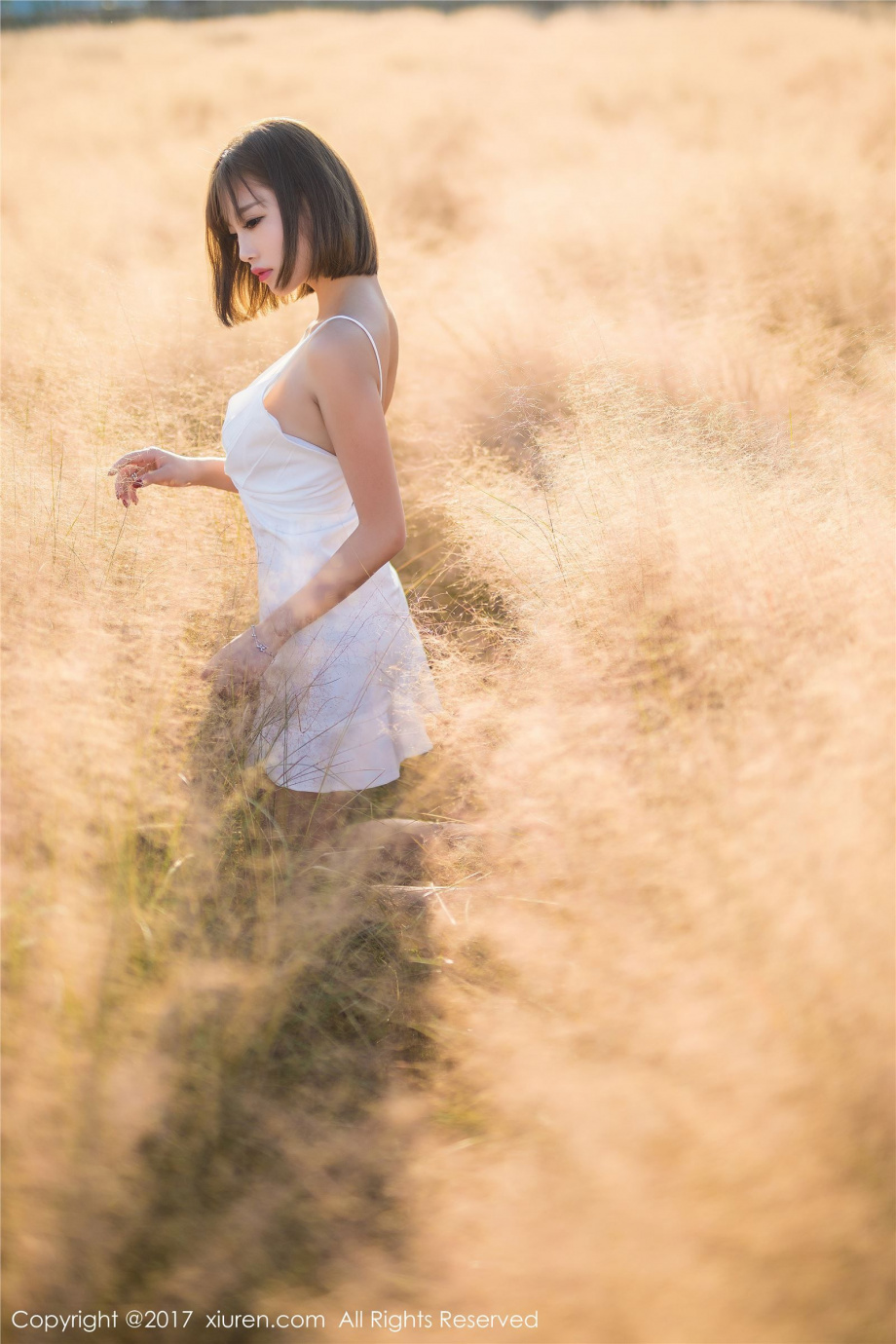 [Image: 32d3f9d684816adcc46b6.jpg]