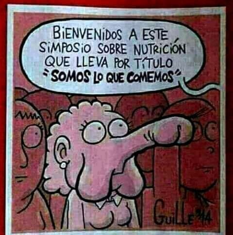 Somos lo que comemos