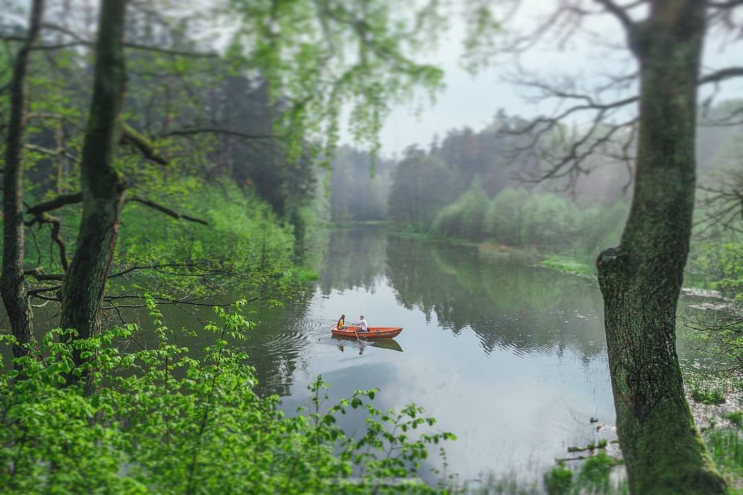 Печерский лесопарк фото