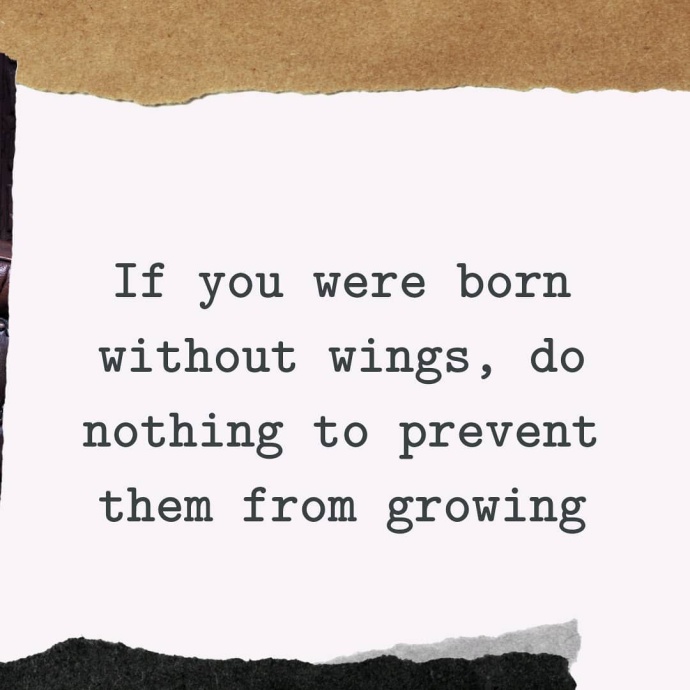 [Image: 343cc0d3c84496e99db62.jpg]