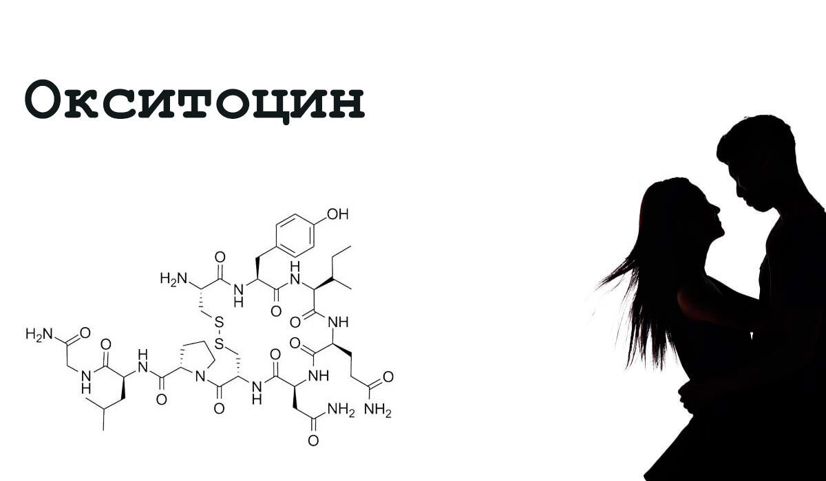 Окситоцин гормон. Окситоцин биохимия формула. Скелетная формула окситоцина. Окситоцин гормон любви формула. Окситоцин гормон химическая формула.