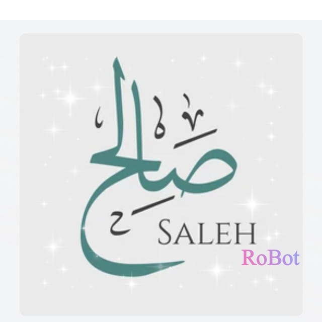 Saleh Robot صالح