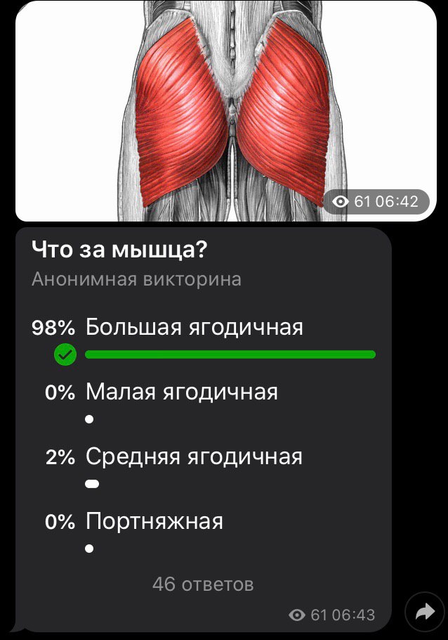 Средняя ягодичная. Ягодичные мышцы анатомия строение. Средняя и малая ягодичные мышцы. Средняя ягодичная мышца анатомия. Ягодичные мышцы анатомия упражнения.