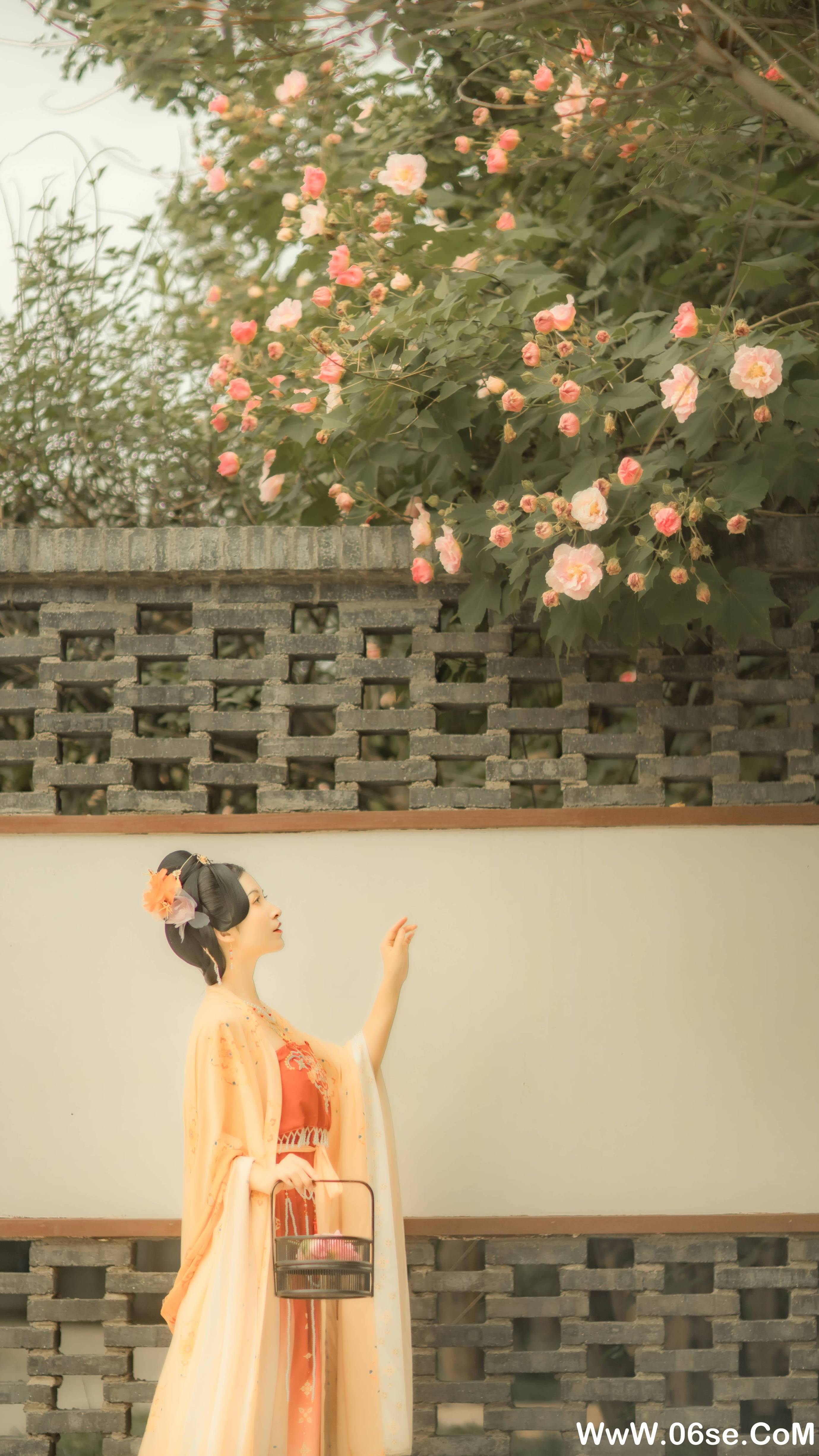 图片[29]-[YITUYU艺图语]2021.11.18 芙蓉词 修水凝花[37+1P／515MB]-六色网