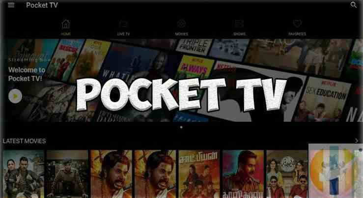 WHAT ABOUT LOVE VR GAME