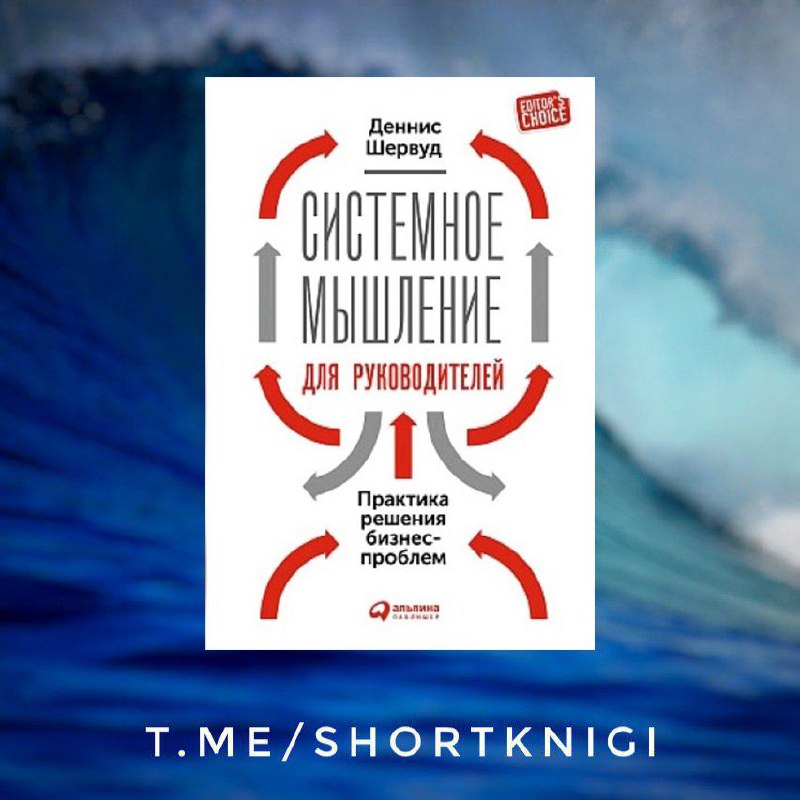 Практика решения. Системное мышление для руководителей. Книга системное мышление для руководителей. Деннис Шервуд системное мышление. Системное мышление Шервуд pdf.