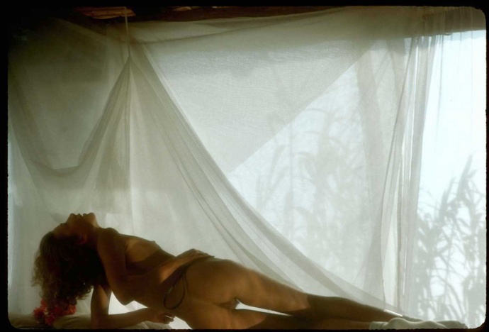 [Image: 36d2b87d57331d67e6d99.jpg]
