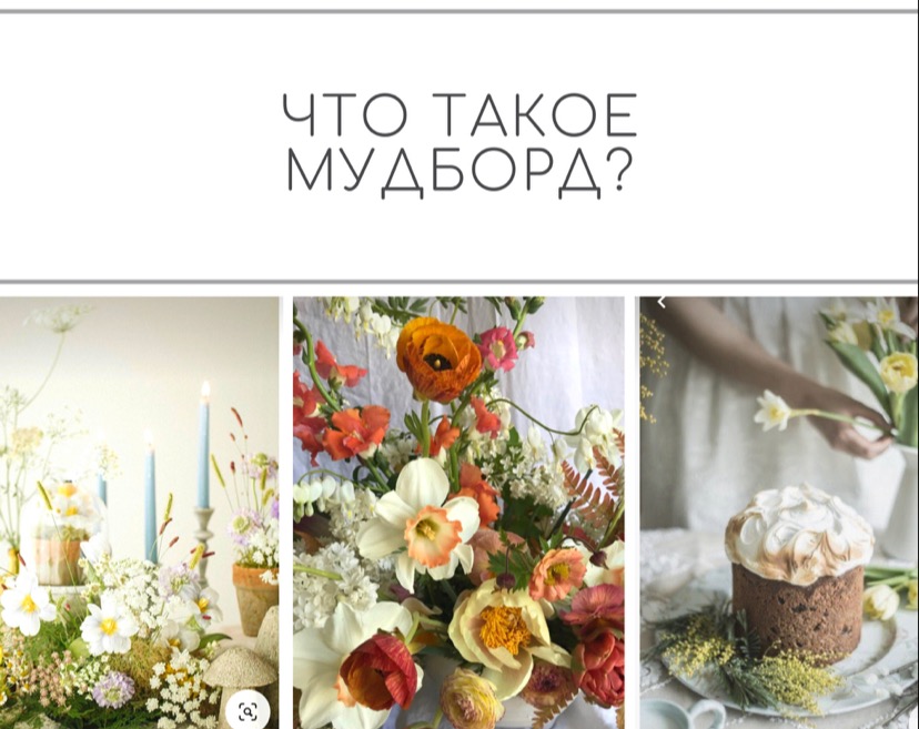 ЧТО ТАКОЕ МУДБОРД? – Telegraph