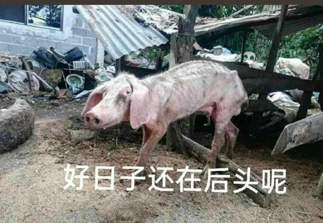 https://telegra.ph/file/36e16fdb5bd7b747aa7f5.jpg