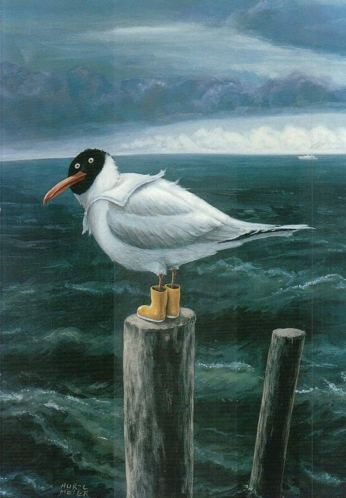 Буревестник – Telegraph