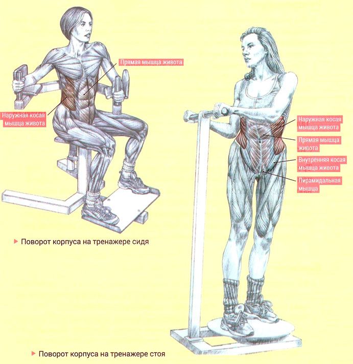 Повороты туловища. Задействованные мышцы при повороте туловища. Повороты туловища в тренажере. Повороты туловища какие мышцы работают. Тренажер вращение туловища.