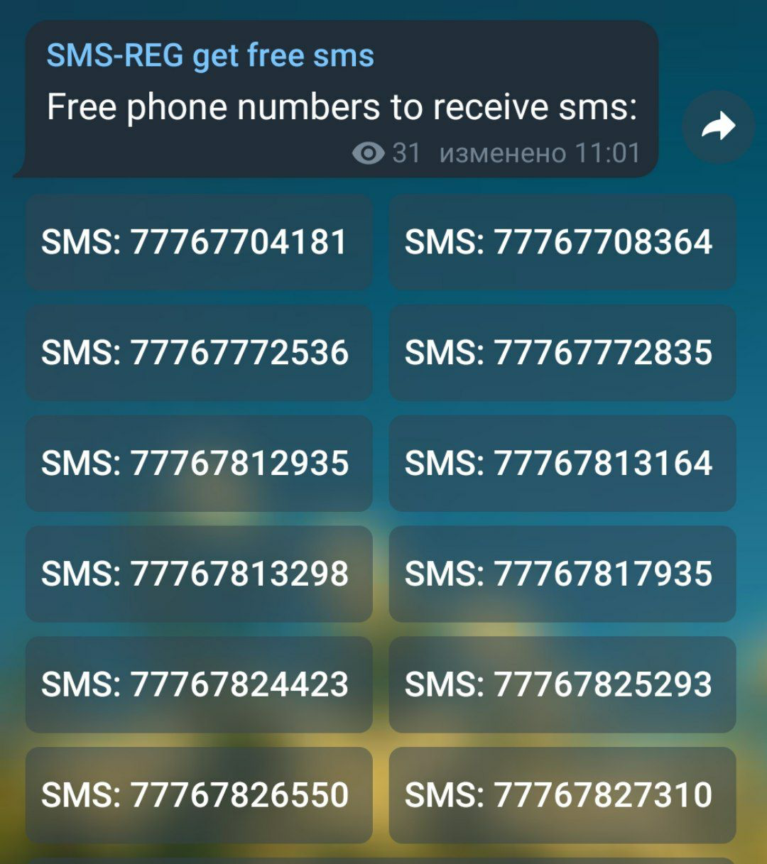 Бесплатные вирт номера для тг. Виртуальный номер. Свободные номера. Виртуальный номер SMS. Виртуальный номер для телеграм.