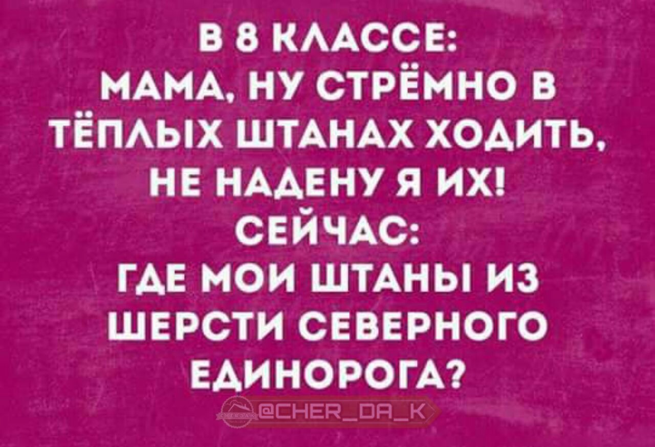 Иди носите. Где Мои штаны из шерсти единорога. Штаны из шерсти единорога. Где Мои штаны из шерсти Северного. Картинка где Мои штаны из шерсти единорога.