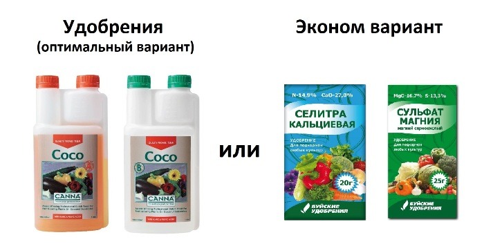 38bb893b0f94f69783cd0.jpg
