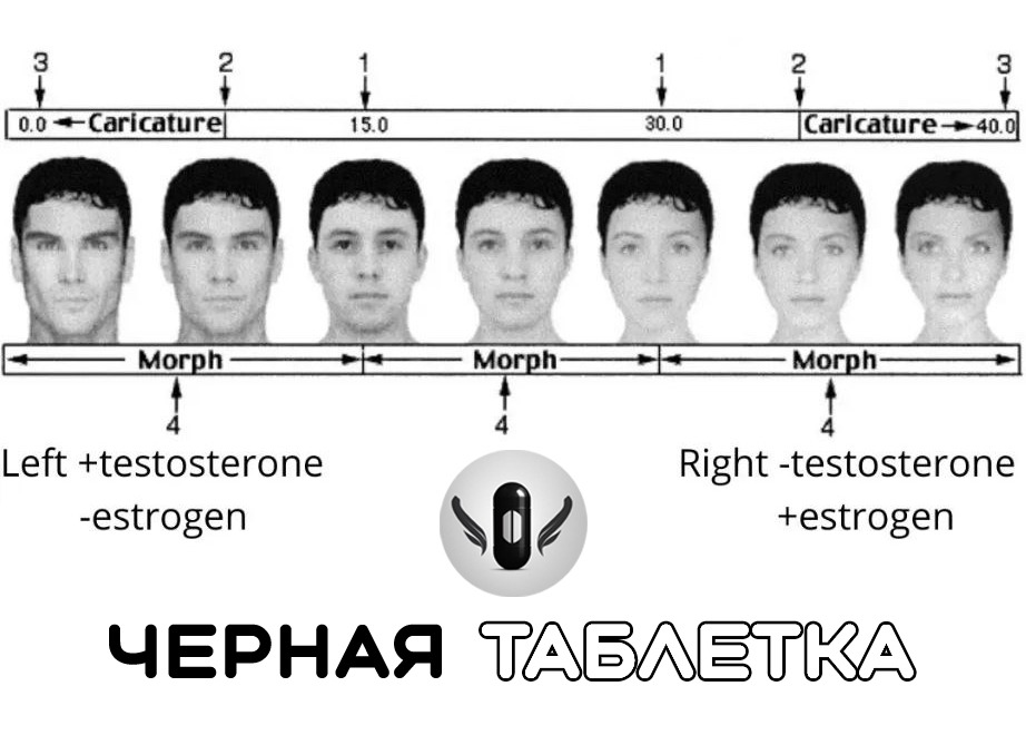 Полный гайд на Hunter Eyes. Введение. Что такое глаза охотника? Telegraph