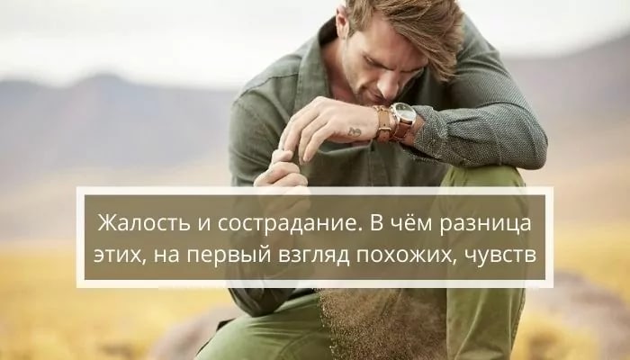 Жалость и сострадание в чем разница. Жалость и сострадание. Жалость и Милосердие разница. Чем отличается жалость от сострадания.