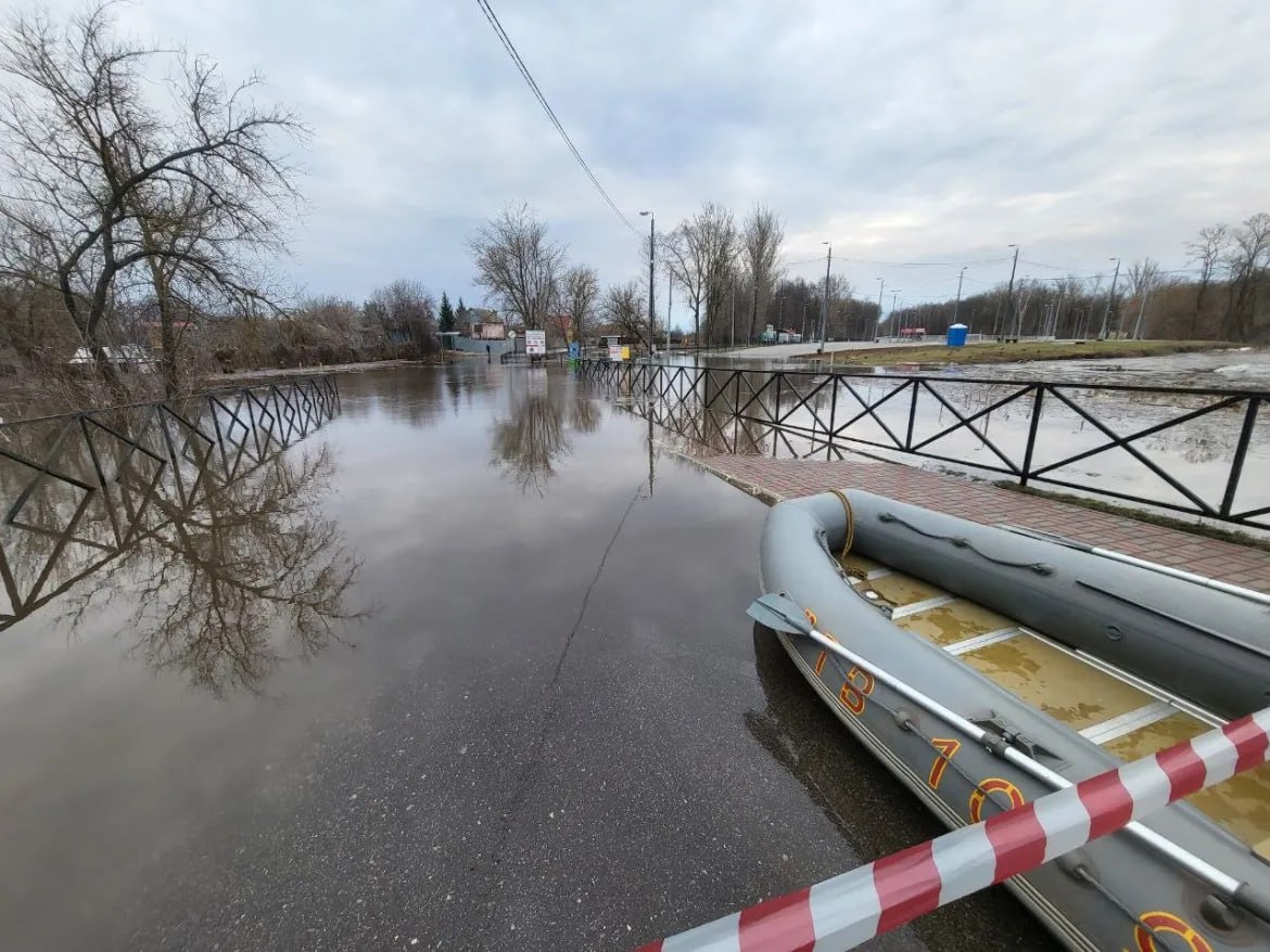 тамбов парк дружбы