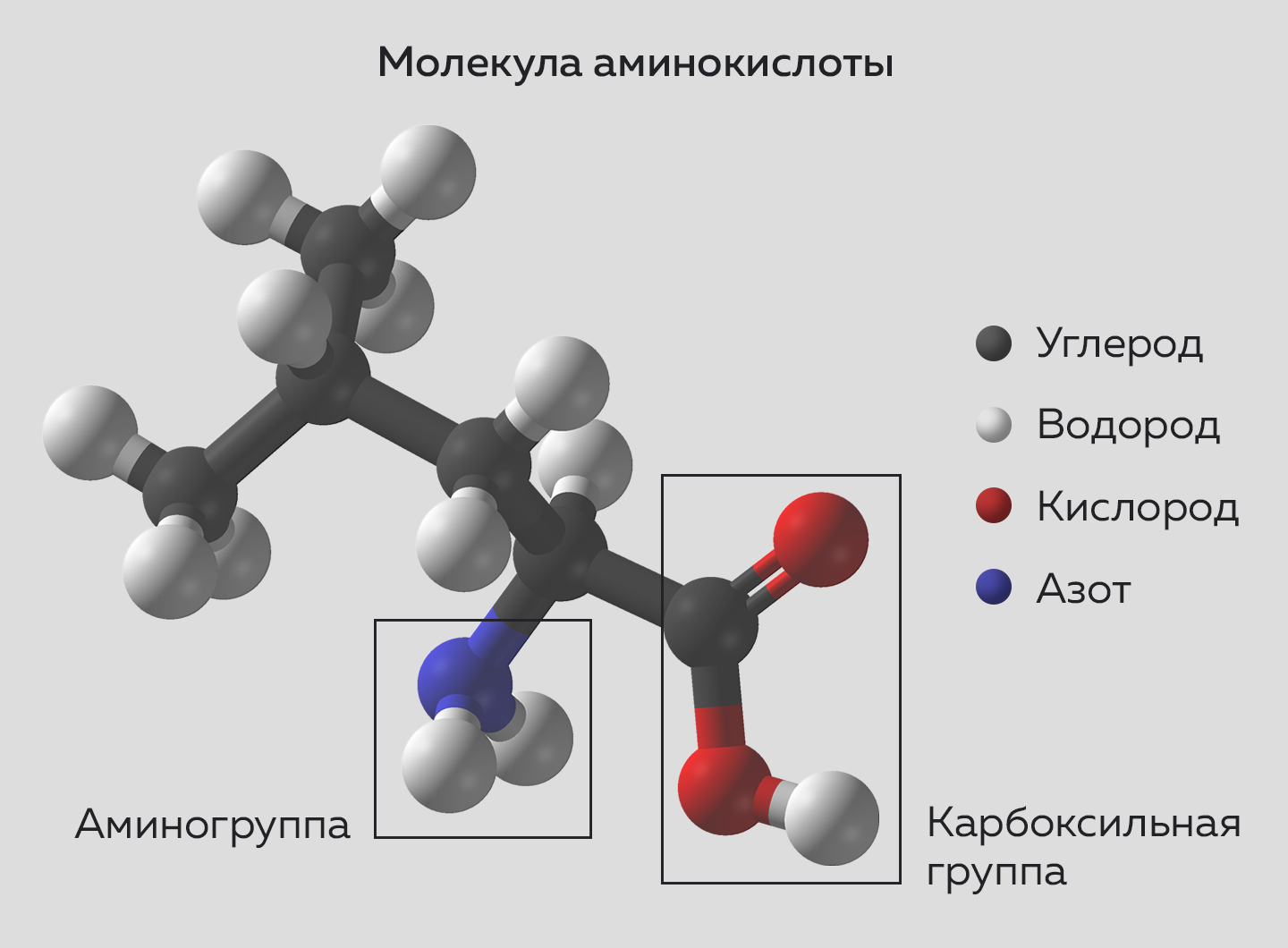 зачем нужны полимеры пубг фото 52