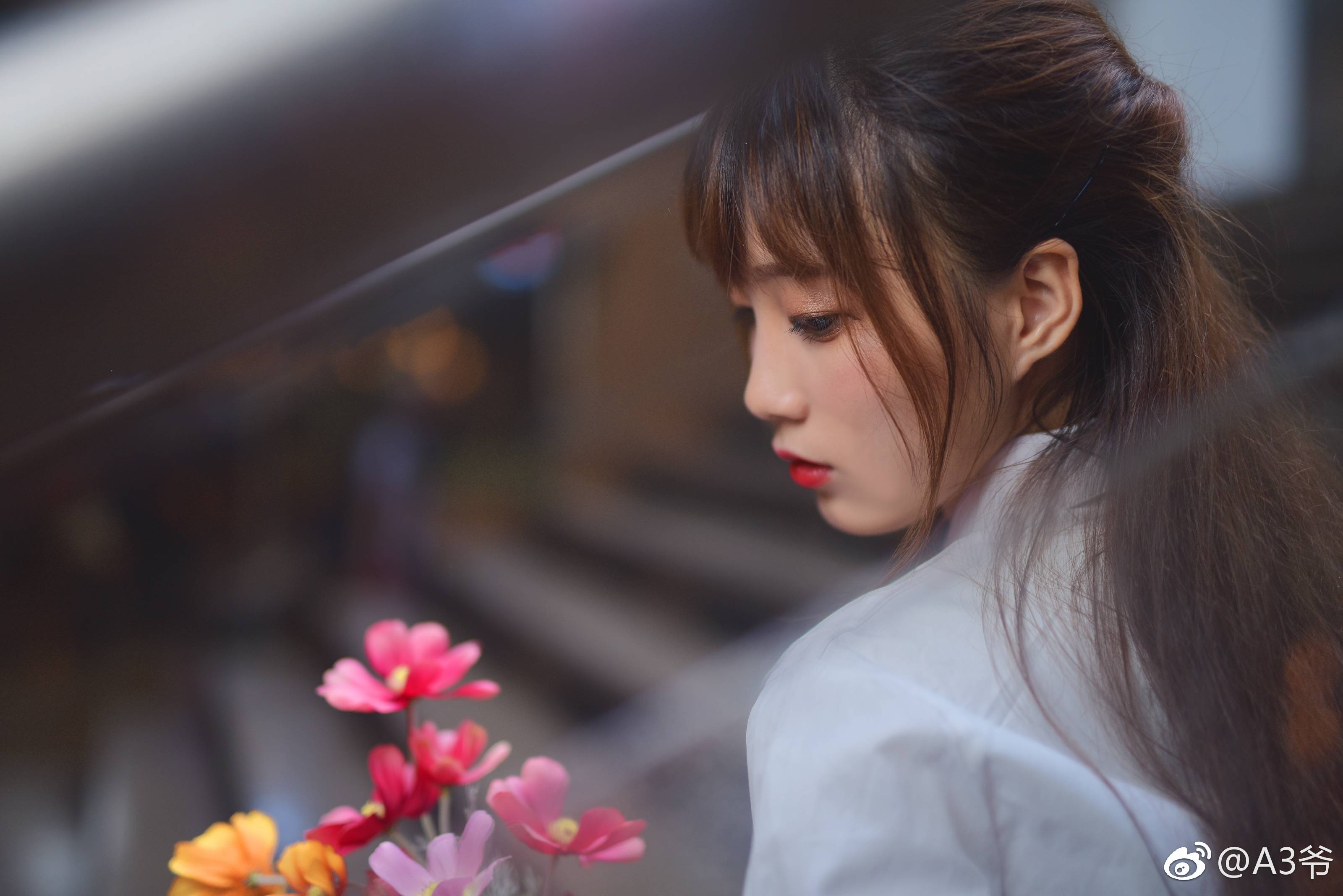 图片[36]-042 迷失幻境系列 – 第042期 [95P-347.45 MB]-六色网