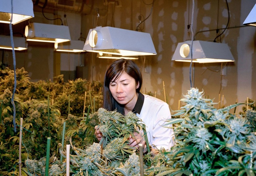 Статья – Telegraph