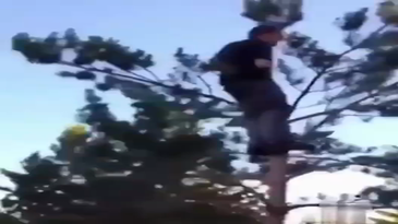 El tonto de la polla por hoy
