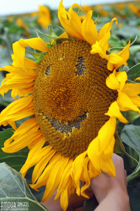 [Image: 3a89b764abf3991a4e5c0.jpg]