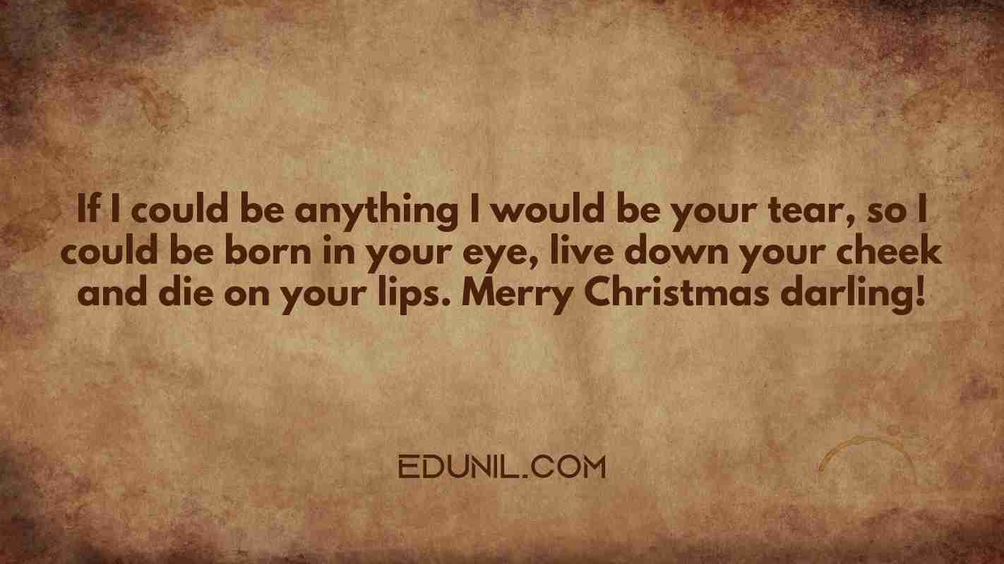 If I could be anything I would be your tear, so I could be born in your eye, live down your cheek and die on your lips. Merry Christmas darling! - 
