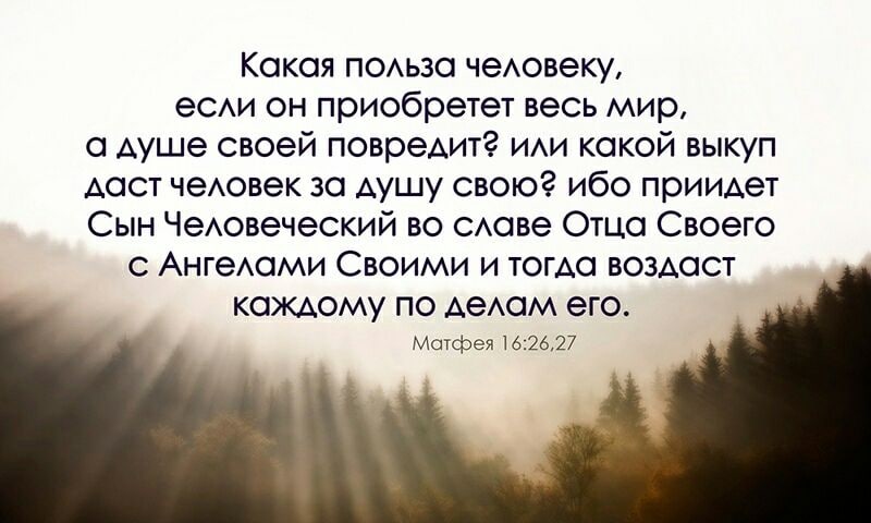 Приобретет весь мир. Какая польза человеку если он приобретет весь мир. Какая польза если он приобретет весь мир а душе. Приобретешь весь мир а душе своей навредишь. Какая польза приобретает весь мир а душе своей повредит человеку.