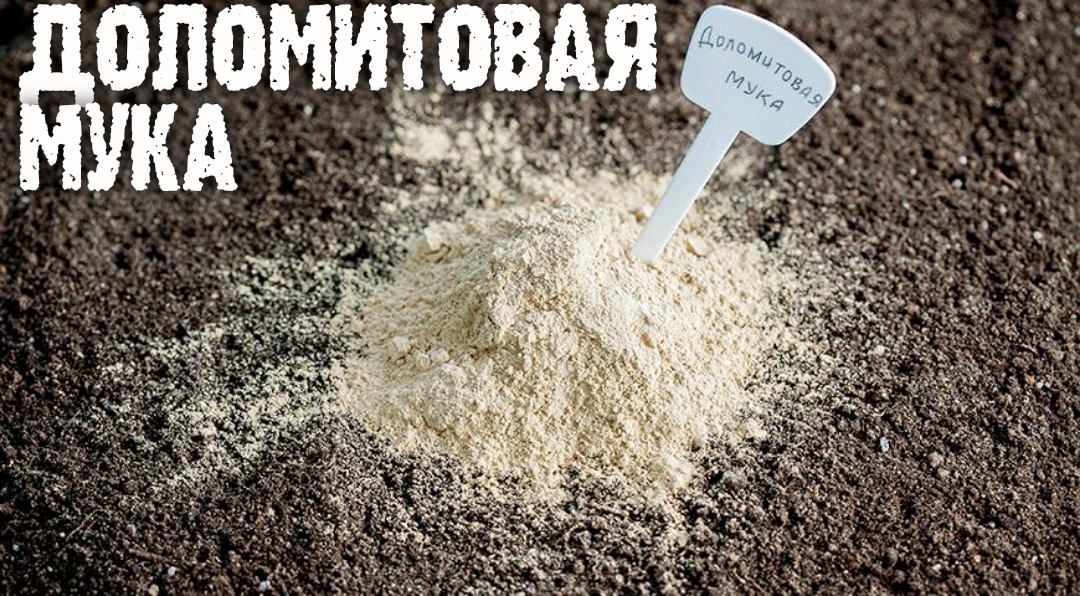 Можно ли вносить доломитовую муку