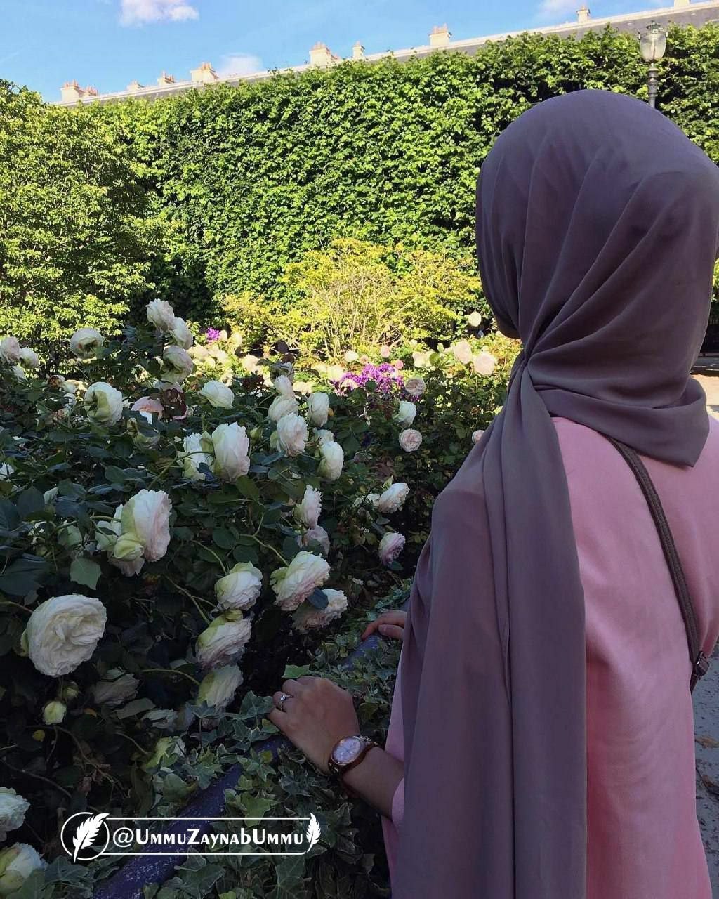картинки хиджабе со спиной