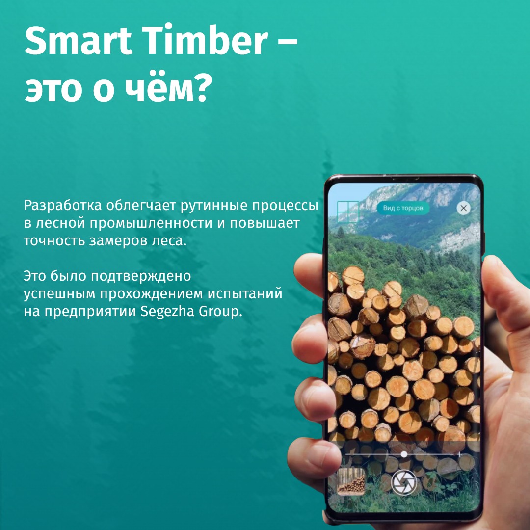 Smart timber. Smart Timber иконка.