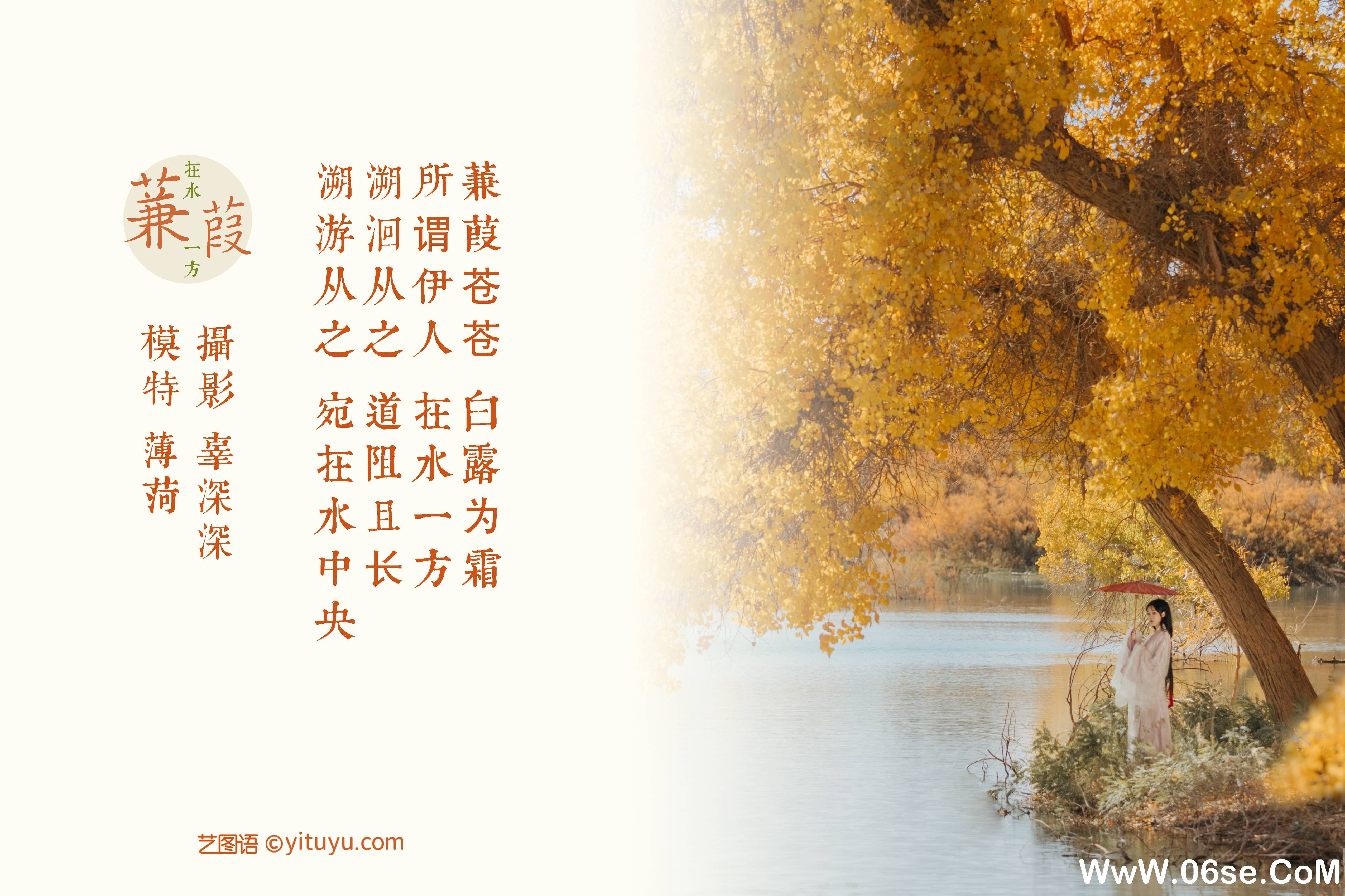 图片[2]-[YITUYU艺图语]2021.08.16 蒹葭 薄荷[25P／444MB]-六色网