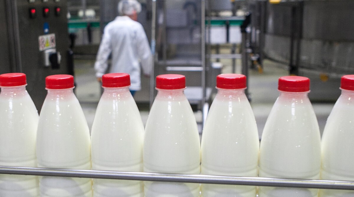Эксперимент по маркировке молока в России продлен до конца года