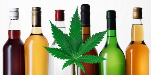 Что опасней алкоголь или марихуана марихуана египта