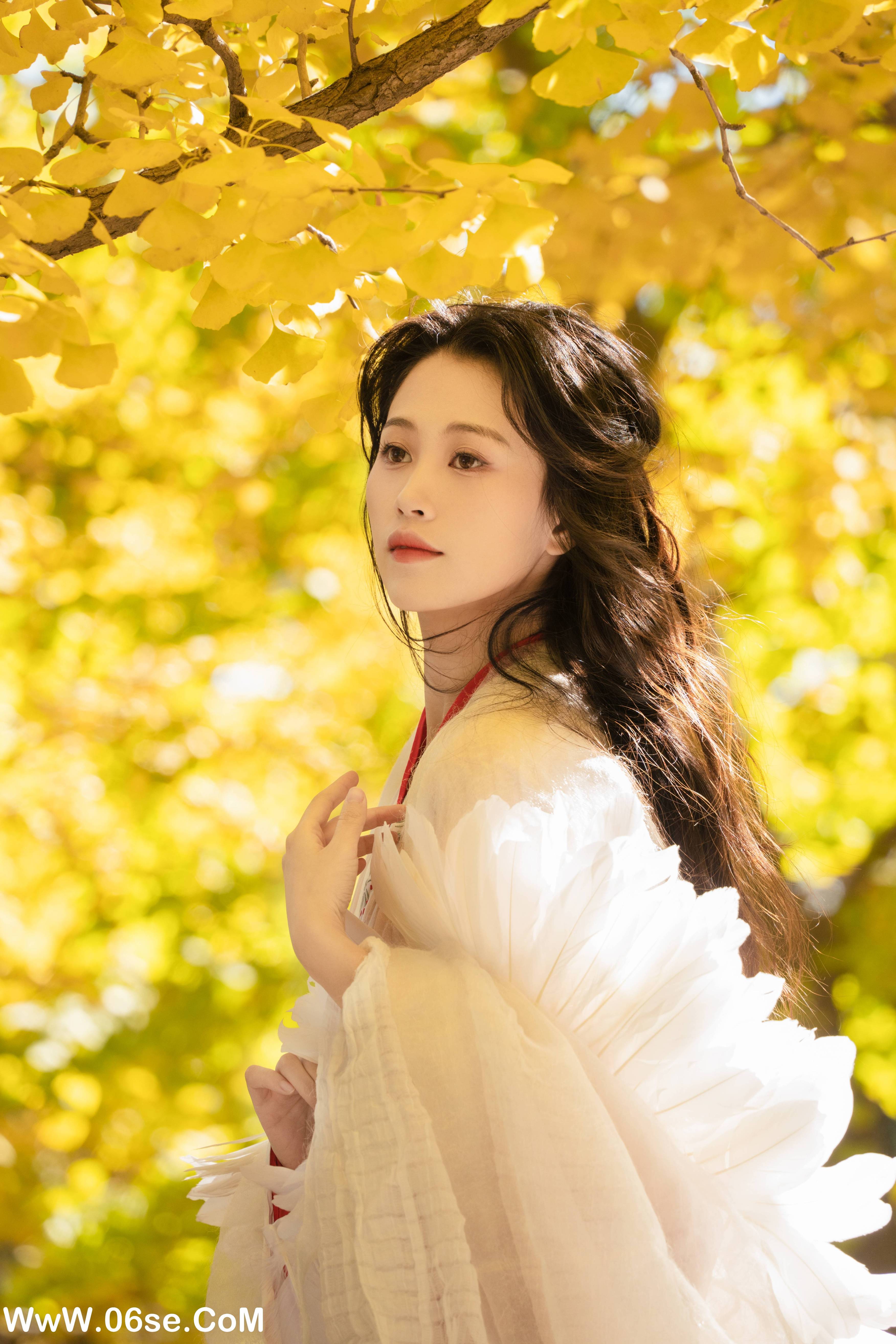 图片[18]-[YITUYU艺图语]2022.11.30 银杏 青霜鹅[25+1P／393MB]-六色网