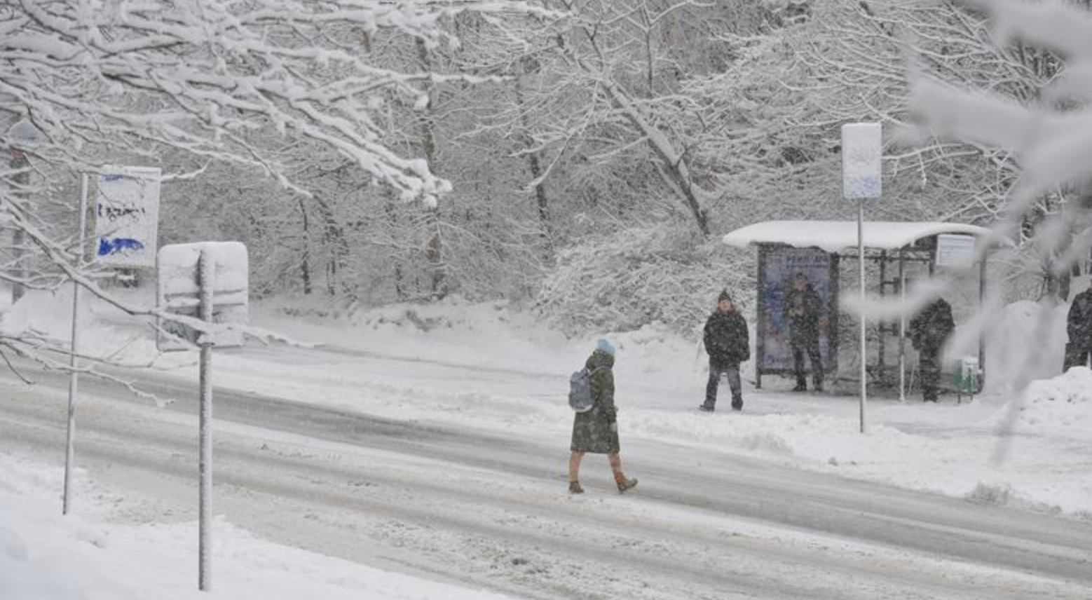 Снег в приморье сегодня. Снегопад на Дальнем востоке. Снегопады в России 2022 год. Снег в России сегодня. Будет ли сегодня снег.