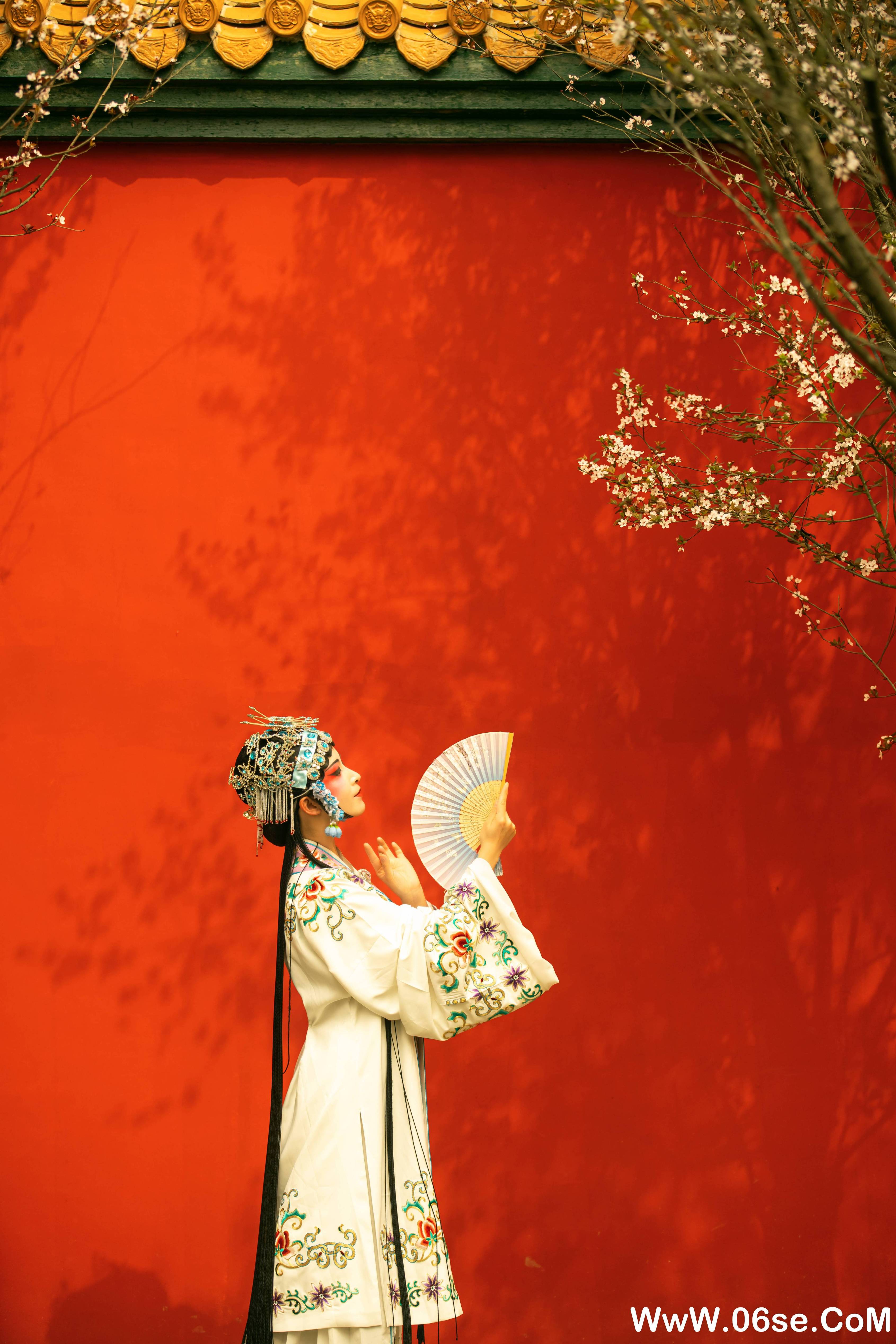 图片[19]-[YITUYU艺图语]2021.12.18 花满枝 修水凝花[22+1P／295MB]-六色网