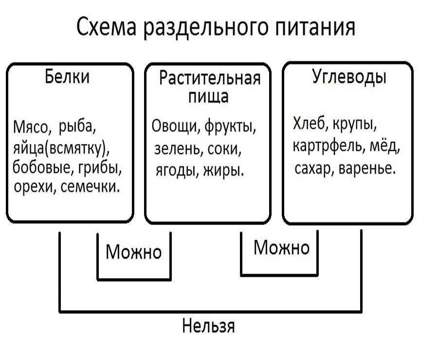 Раздельное питание это