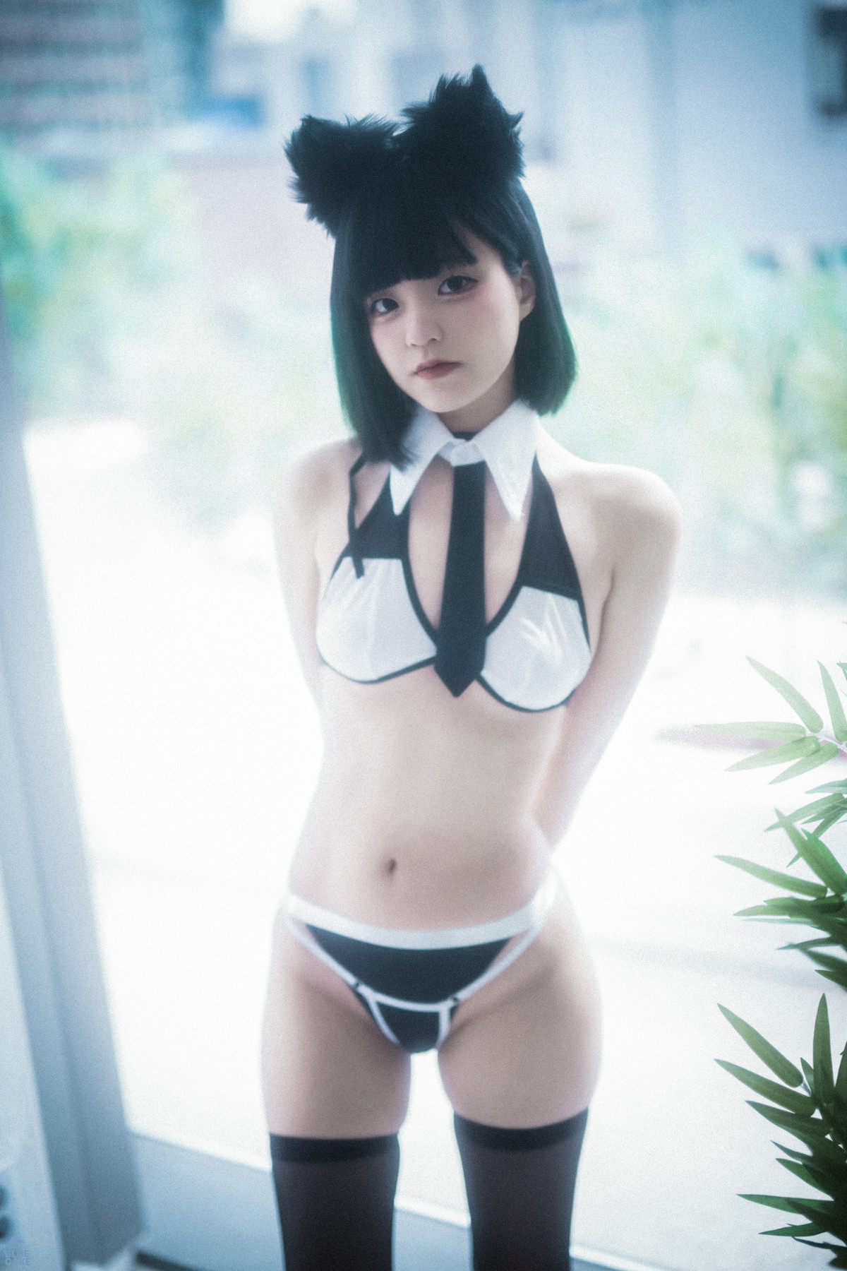 Jeong Jenny 정제니, [BLUECAKE] Meow Set.01 7