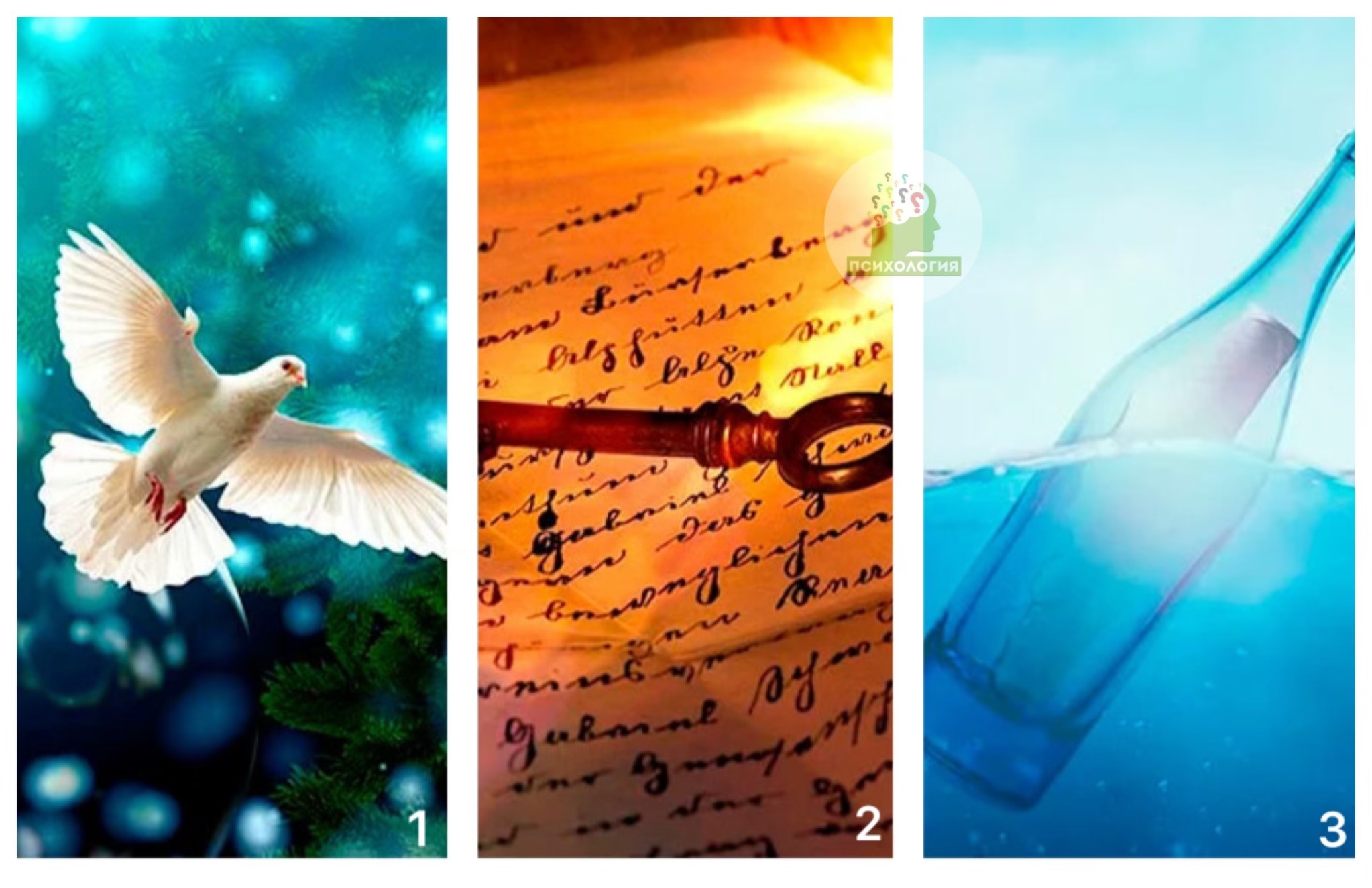 Выберите понравившийся рисунок. – Telegraph