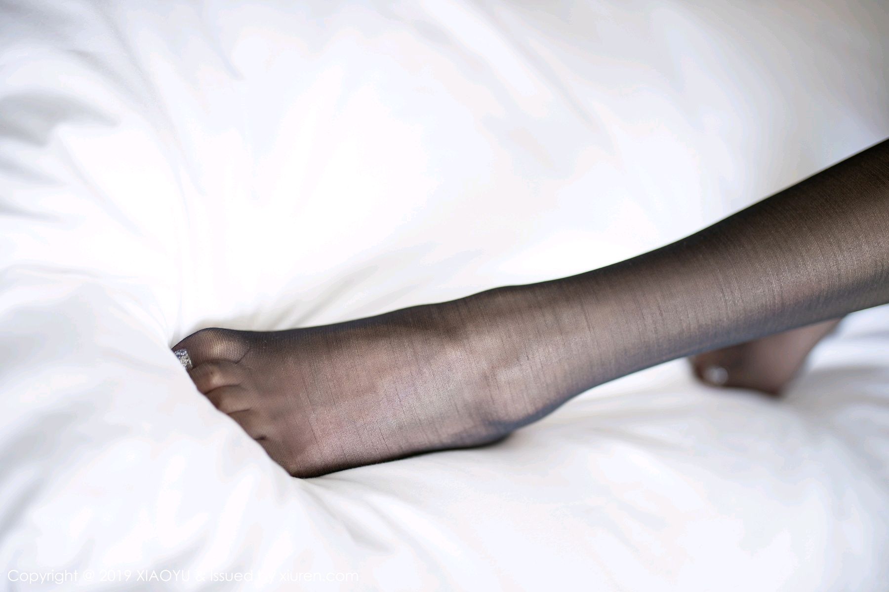 [Image: 3e5fc2ec61aaa0d741cdb.jpg]