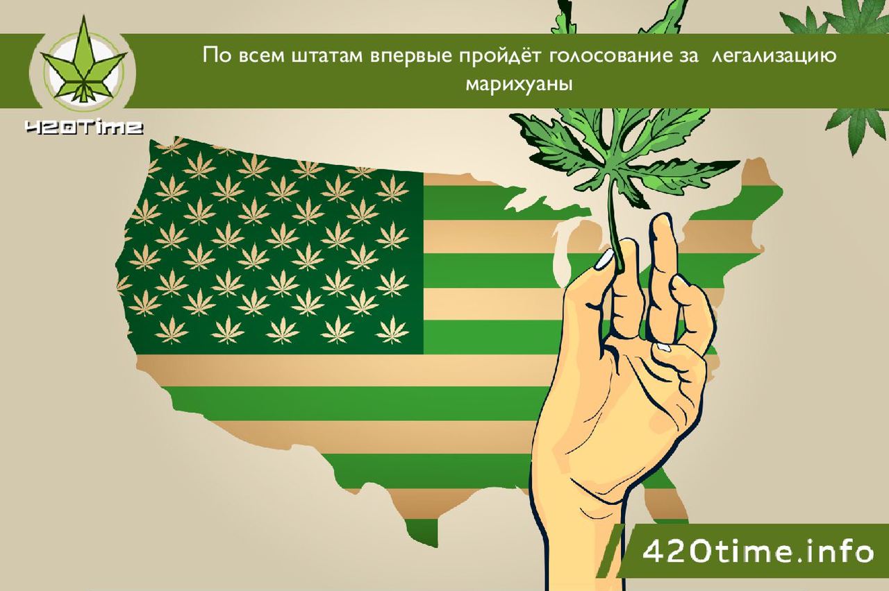 марихуана легализована в москве