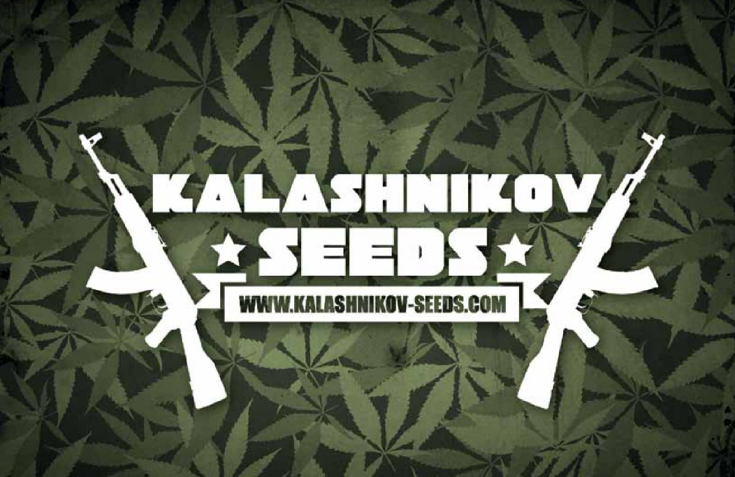Kalashnikov Seeds. Сидбанк Калашников. АК 47 канабис. Калашников марихуана. Сид банки