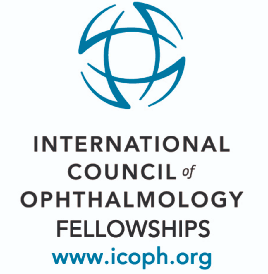 International council. International Council Ophthalmology. ICO Ophthalmology. International Council Ophthalmology logo. Система International Council of Ophthalmology обучение.