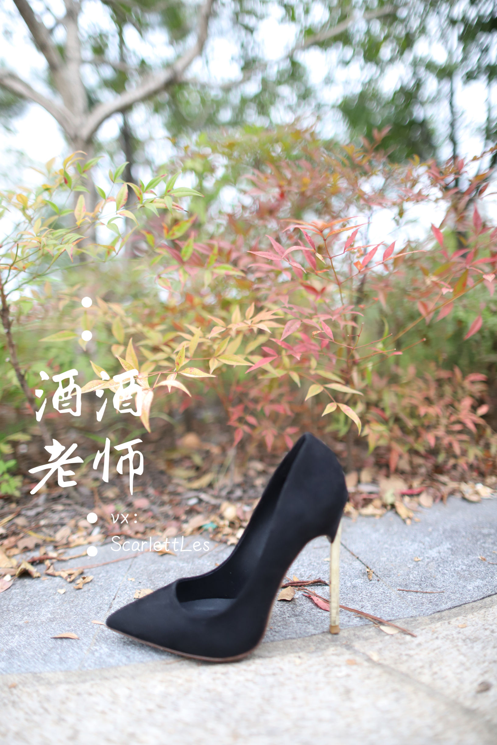 [福利COS]_酒酒老师_-_上课前误穿黒丝-写真图集共52P 5