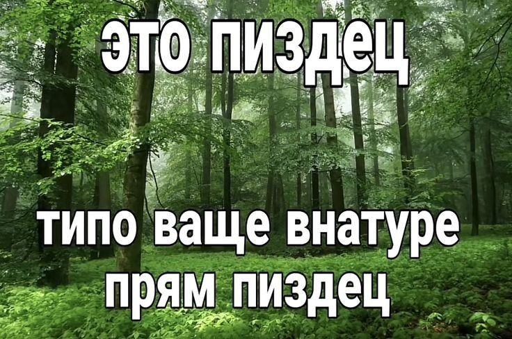 АНКЕТА НОА УРВ🎉🎉 – Telegraph